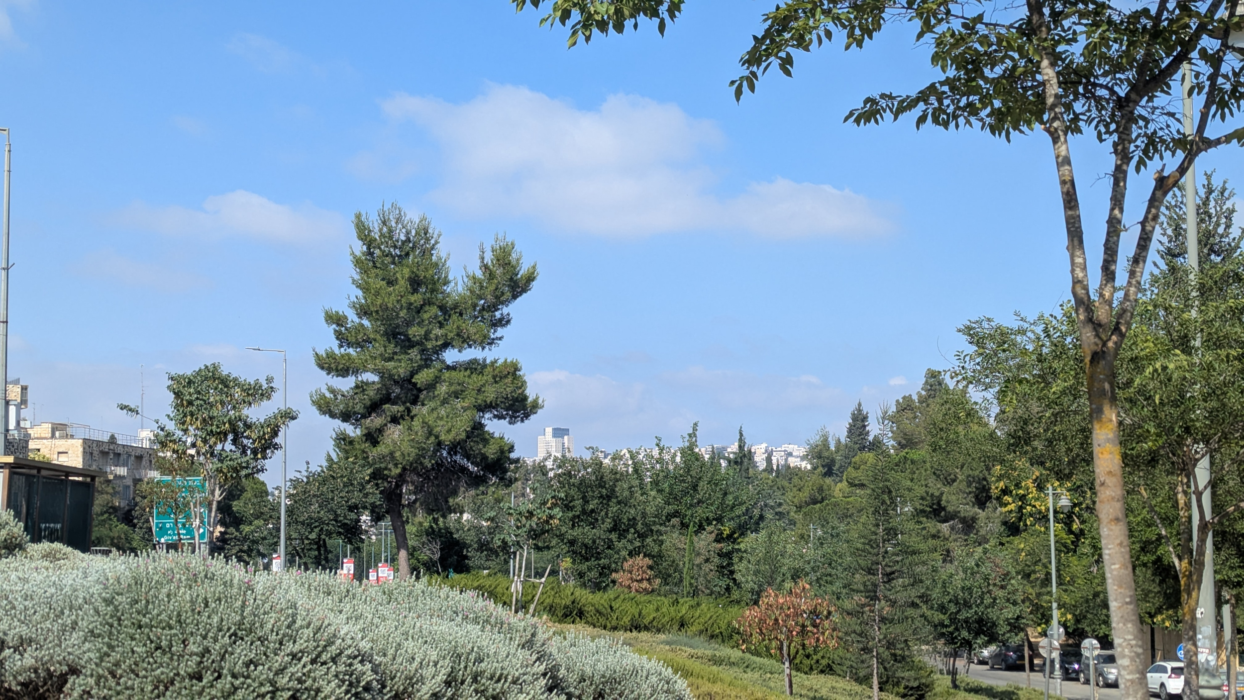 תמונת היום