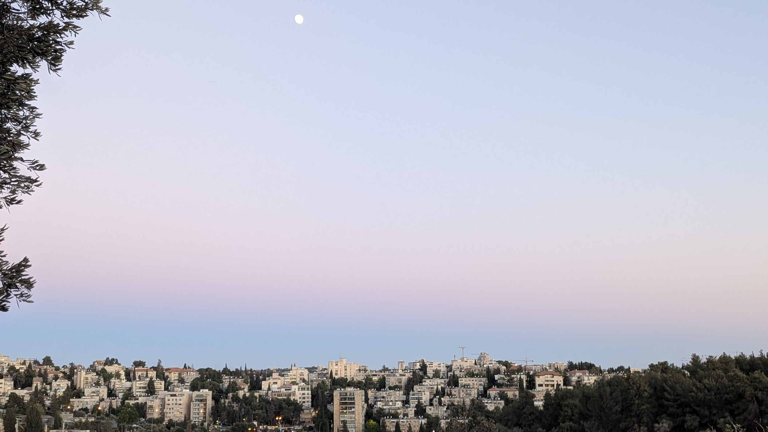 תמונת היום
